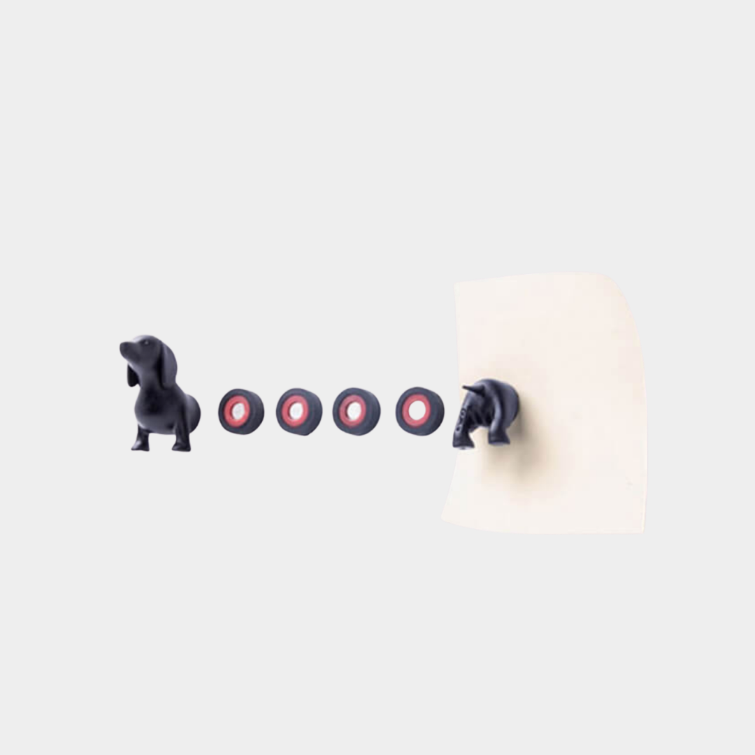Magnet
