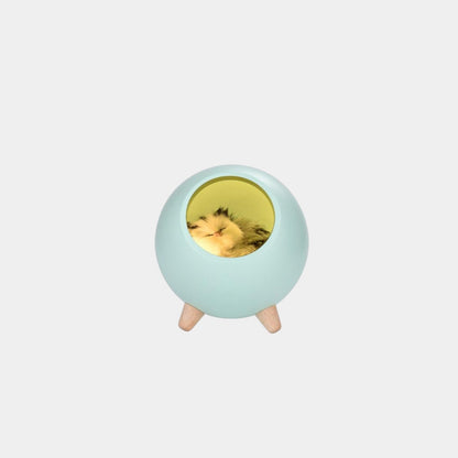 Little Pet House Atmosphere Light