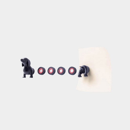 Magnet